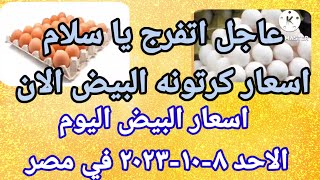 سعر البيض اسعار البيض اليوم الاحد ٨-١٠-٢٠٢٣ في الشركات في مصر