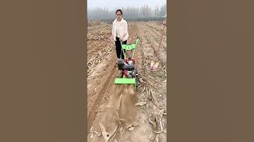 Multi-function micro-tillage machine #Micro-tillage machine #Farmer