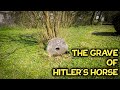 The Grave of Hitler's Horse in Louisiana (short)