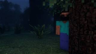that isn't steve...