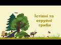 Біологія 6 клас. Їстівні та отруйні гриби