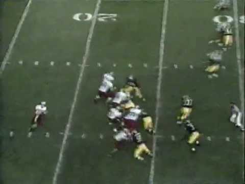 1993: Michigan-41 Washington State-14