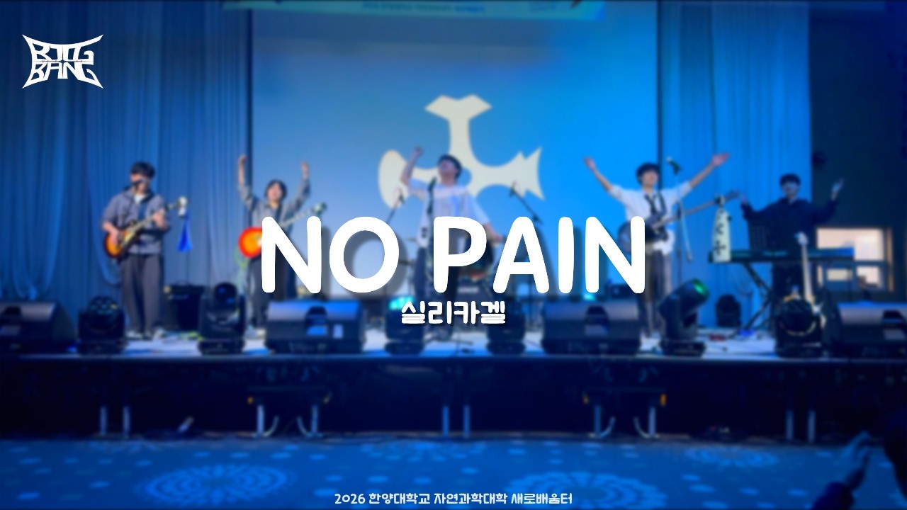 [한양대학교 BIGBANG] 실리카겔 (Silica Gel) - NO PAIN