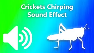 Crickets Chirping Sound Effect