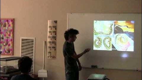 Blood & Short-tail python overview program Part 2