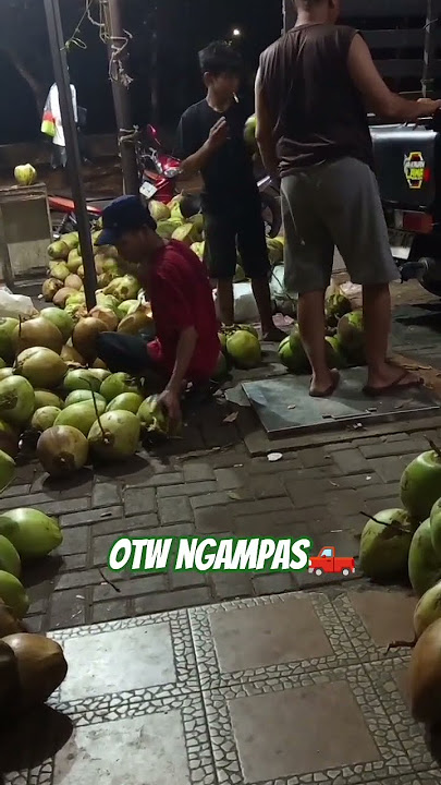 #kelapa #kelapamuda #fresh
