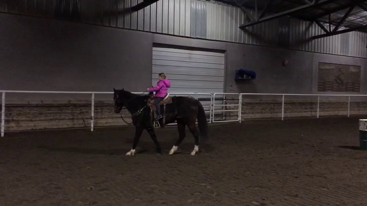 Sarah riding Piper - YouTube