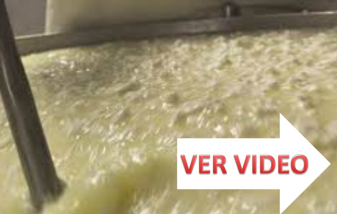 suero de leche beneficios y propiedades