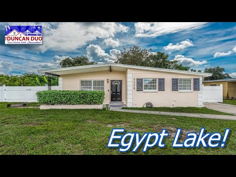 7115 N POLLER AVENUE, Tampa, FL home video tour