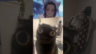 Download Lagu best hentai CLICK HERE MP3