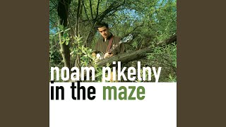 Video thumbnail of "Noam Pikelny - Speed Bump"