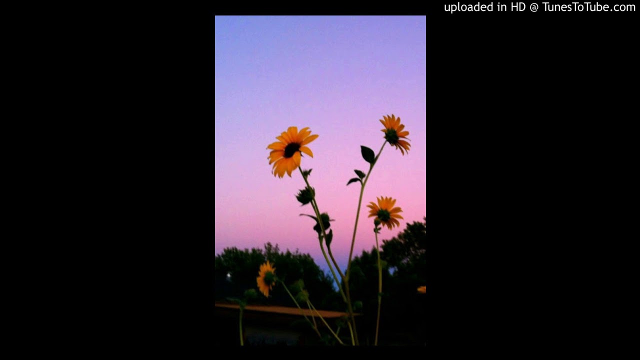 nf - hate myself (slowed + reverb)