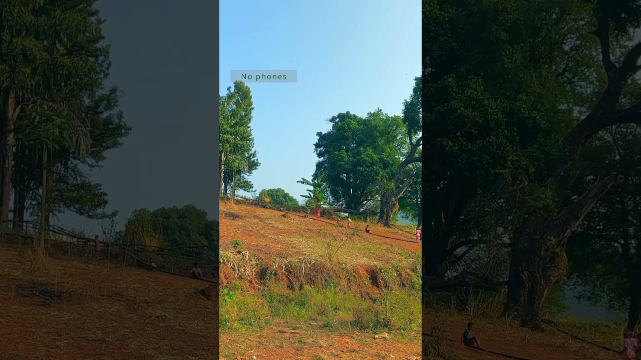 The Happiness Blueprint: Strategies for a Joyful Life