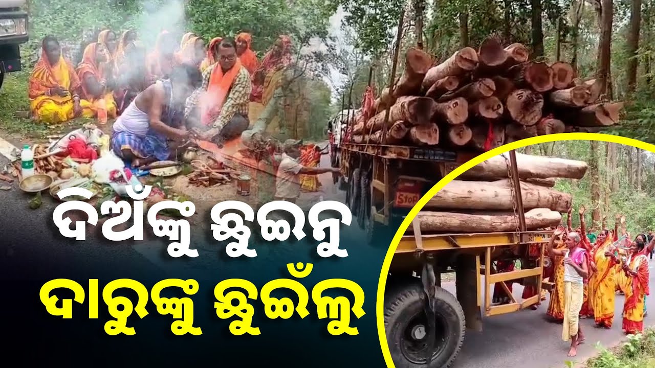 ପ୍ରଭୁ ଶ୍ରୀଜଗନ୍ନାଥଙ୍କ ରଥ ନିର୍ମାଣ ପାଇଁ ସଂଗୃହୀତ କାଠ ପୁରୀ ଯାଉଥିବା ବେଳେ ଭକ୍ତ ଆବେଗ || Knews Odisha