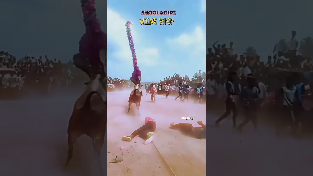 Shoolagiri Wine Shop 🥵