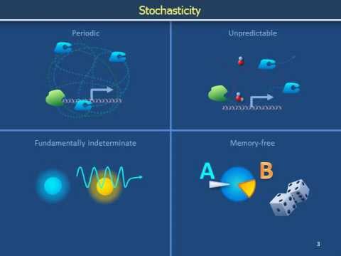 Video: Vliv Stochasticity Na Koinfekční Dynamiku Respiračních Virů