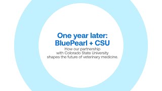 BluePearl's University Partnership Program with Colorado State University