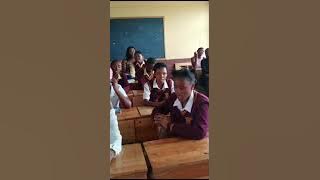 Sedi laka