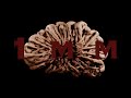 Red Eye / 1mm ( Official Music Video )