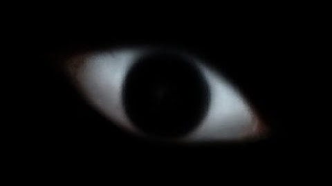 A. C. T 2: The Thing