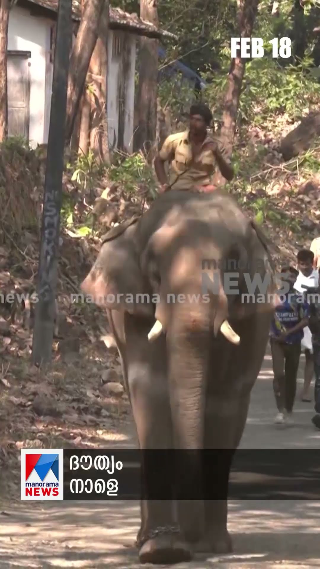 പ്രധാനവാര്‍ത്തകള്‍ ഒരുമിനിറ്റില്‍, ന്യൂസ് ബുള്ളറ്റ് ​#NewsBulletin #MalayalamNews