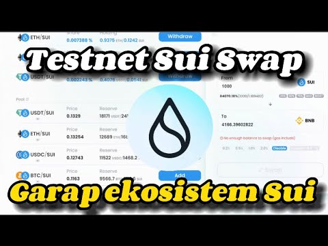 Sui Testnet Terbaru 💧|| Garap Seblum Nyesssss SuiSwap Testnet Permanent SUI WALLET 💧