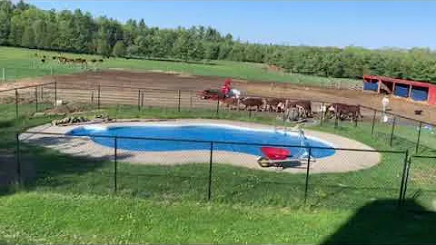 Happiest day on the farm