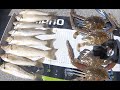 Whiting Fishing Gold Coast