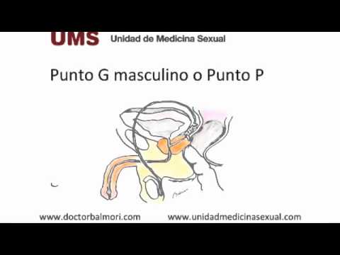punto g masculino externo pornhoub punto g masculino externo pornhoub