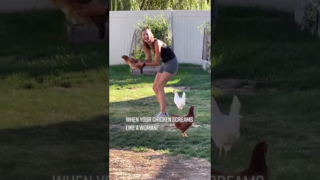 Lady picks up chicken and it screams like a woman @shelliewooten