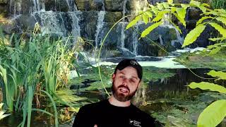 Pond Building Tips