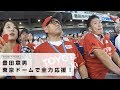 豊田章男　東京ドームで全力応援！