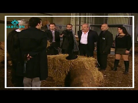 نعمان يكتشف الحارس يتعاون مع عصابة مخدرات ويتصل بالشرطة تكسي الامان فاصل و نواصل