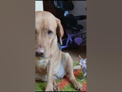 какая ты страшная и не накрашенная страшная и накрашеная - YouTube