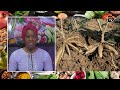 Conseil sant  les bienfaits du manioc