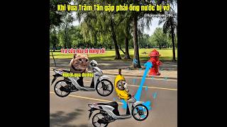 Khi vua trăm tấn gặp phải ống nước bị vỡ #meme #catmeme