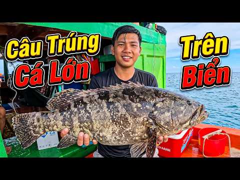 Câu Được Nhiều Cá Cực Khủng - Ra Khơi Sau Cơn Bão Lớn | Săn Bắt Vlog