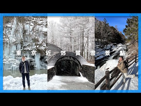 [解封後日本旅遊］東京近郊「賞雪」一日遊｜#輕井澤 #秩父 #日光｜冬天的東京自由行