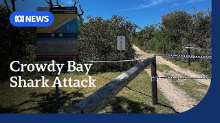 Swiss tourist tried to fight off bull shark to save partner from fatal attack ABC NEWS