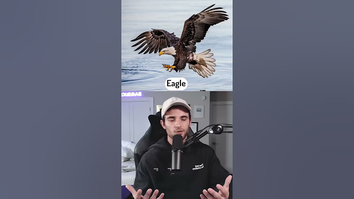 Can you beat these animals in a fight?
