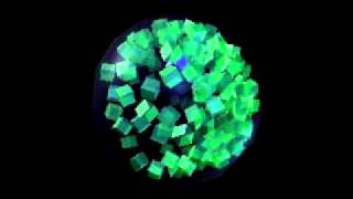 Vesicle2.mov