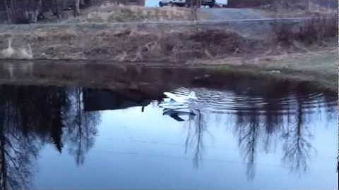 Hobbyzone Super Cub on floats Highlights