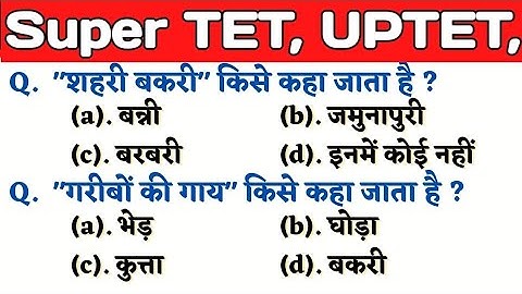 UPTET 2022 || Super TET EVS Important Questions || Super TET || UP LEKHPAL || SSC || RRB || UPPET