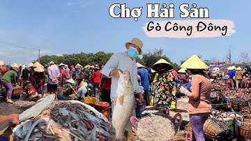Cận cảnh tàu về đủ loại Hải Sản tại Cảng Cá Vàm Láng - Gò Công Đông