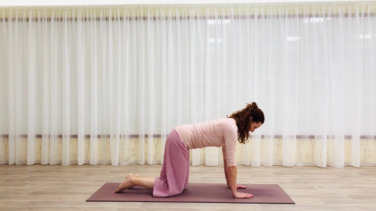 ZÁKLADNÍ POZICE - pozice kočky - Lenka BALANC