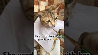 This adorable cat won everyone’s heart 🥹🤍 #catshorts #cat #babyanimal #cuteanimals #viralshorts