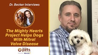 The Mighty Hearts Project Helps Dogs With Mitral Valve Disease