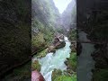 我上早八 MC药材_99