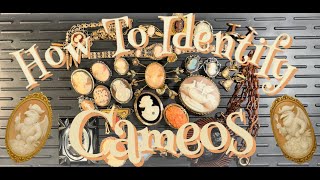 How to Identify Cameos!