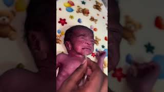 New Born Baby mucus Beagin😍 #cutebaby #adoreble #baby #adorably #cute #expandable #shorts #ytshorts New Born Baby mucus Beagin😍 #cutebaby #adoreble #baby #adorably #cute #expandable #shorts #ytshorts